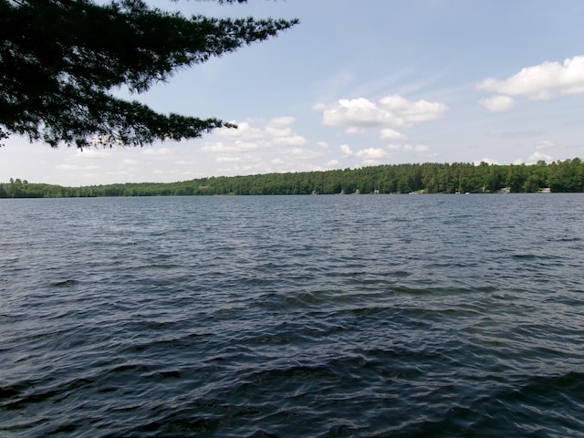 24 Paradise Dr, Monmouth, ME 04259 - water view featuring a heavily wooded area