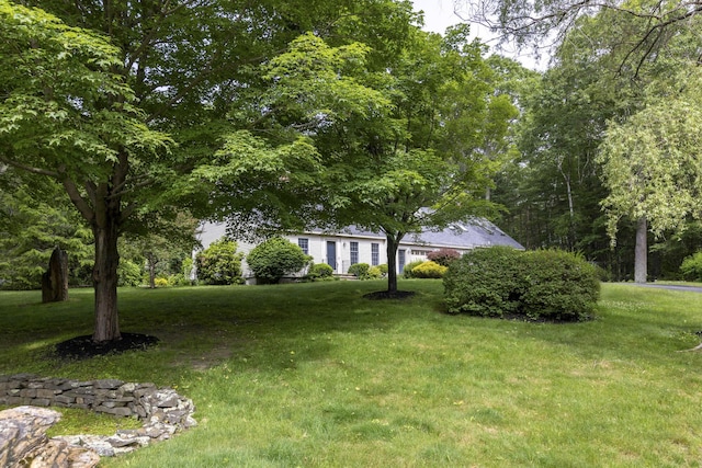 3 Cape Woods Dr Unit 3, Cape Elizabeth, ME 04107 - view of grassy yard