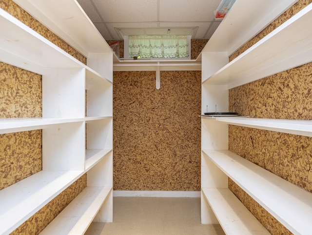 3 Cape Woods Dr Unit 3, Cape Elizabeth, ME 04107 - walk in closet featuring a paneled ceiling