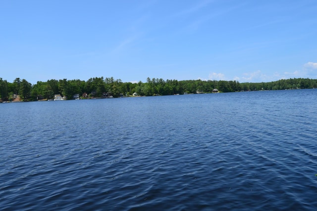 87 Perch Pt, Shapleigh, ME 04076 - water view