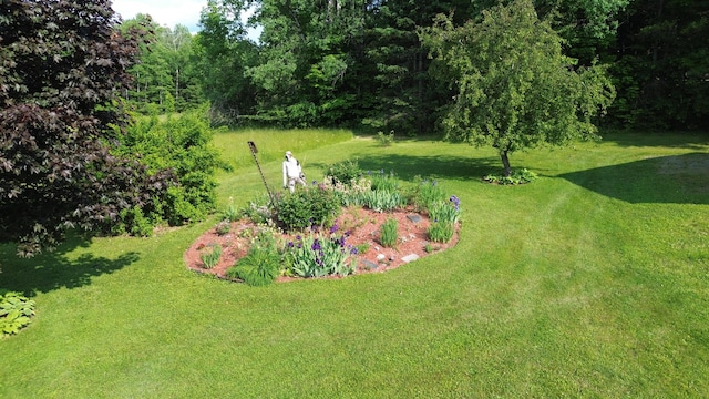 389 Oxbow Rd, Cornville, ME 04976 - photo 34