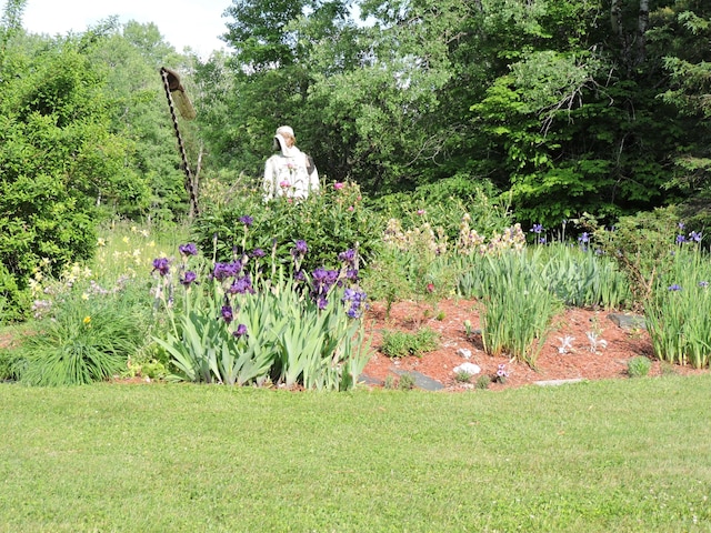 389 Oxbow Rd, Cornville, ME 04976 - photo 33