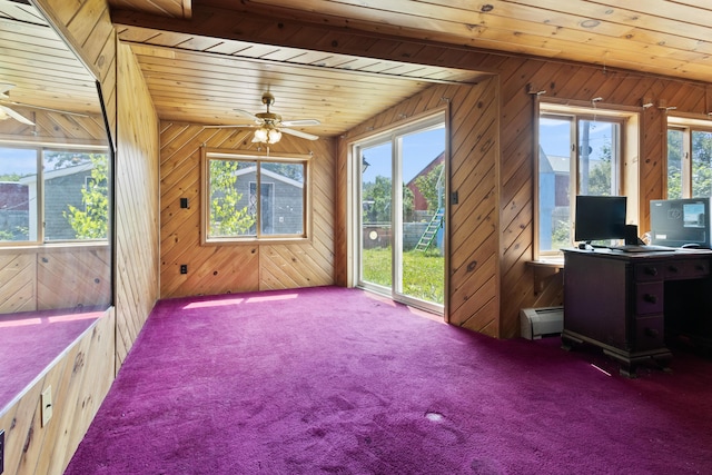 257 N Ave, Skowhegan, ME 04976 - unfurnished sunroom with a baseboard heating unit