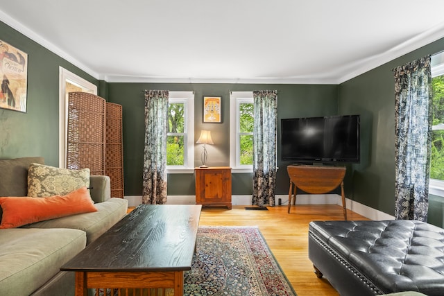 1548 Main St, Readfield, ME 04355 - living room with wood finished floors and crown molding