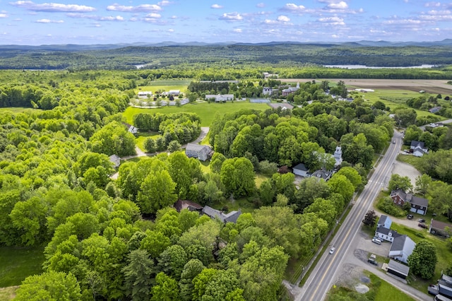 1548 Main St, Readfield, ME 04355 - aerial view of a forest