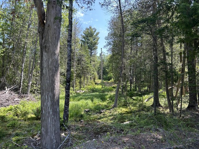 96 Evergreen Way, Penobscot, ME 04476 - photo 12