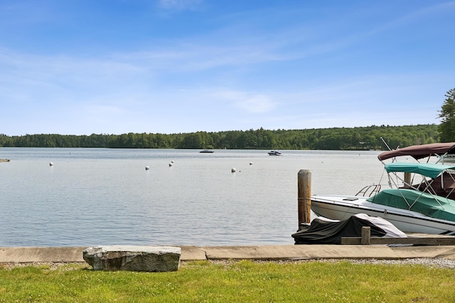 18 Woldbrook Dr, Windham, ME 04062 - photo 84
