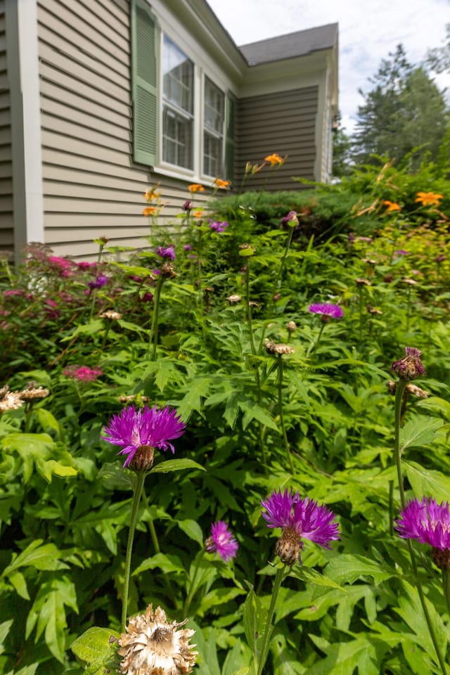 18 Canoe Club Rd, Hampden, ME 04444 - photo 16