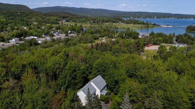 94 E Ridge Rd, Southwest Harbor, ME 04679 - photo 60