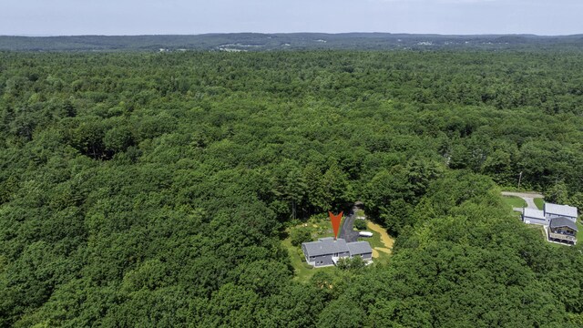 46 Blackberry Ln, Cumberland, ME 04021 - photo 47