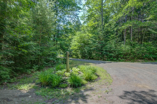 46 Blackberry Ln, Cumberland, ME 04021 - photo 5