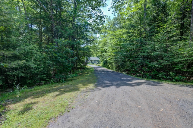 46 Blackberry Ln, Cumberland, ME 04021 - photo 4