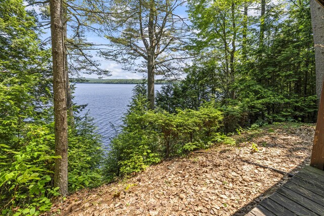 126 Snell Shr, Palermo, ME 04354 - photo 10