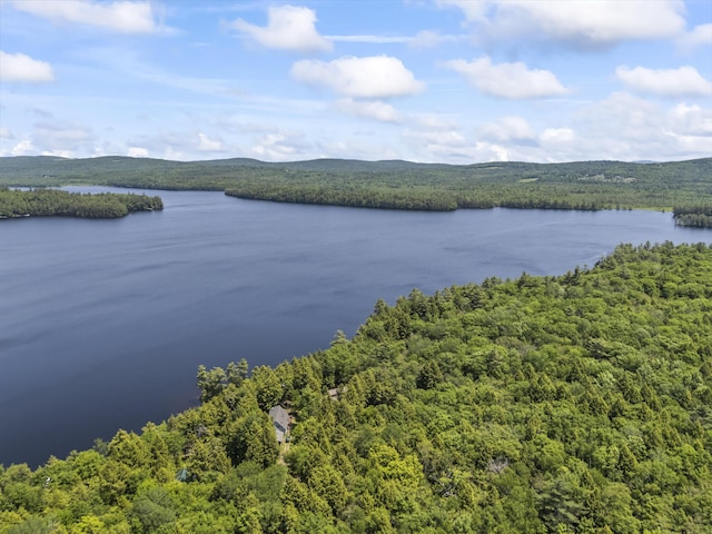126 Snell Shr, Palermo, ME 04354 - photo 43