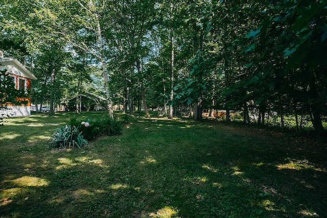 41 Curtis Ln, Milford, ME 04461 - view of grassy yard