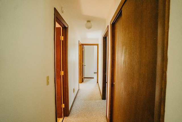 41 Curtis Ln, Milford, ME 04461 - corridor with light colored carpet and baseboards