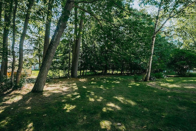 41 Curtis Ln, Milford, ME 04461 - view of green lawn