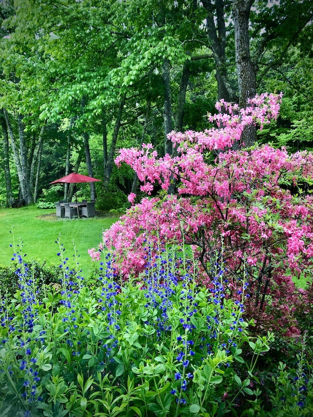 73 Head Of The Tide Rd, Belfast, ME 04915 - photo 10
