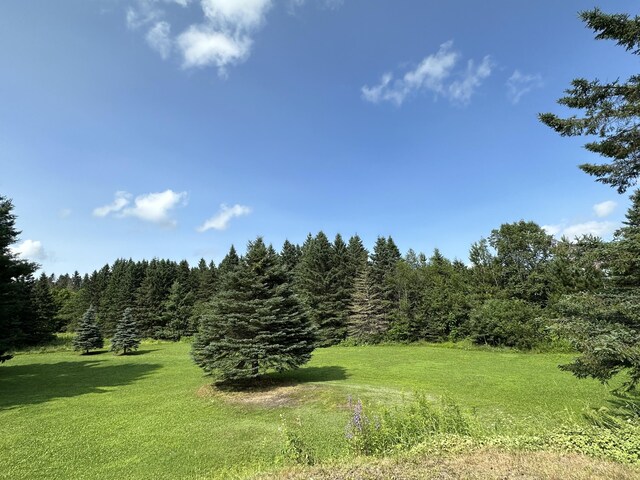 1081 B Rd, Hammond, ME 04730 - photo 17