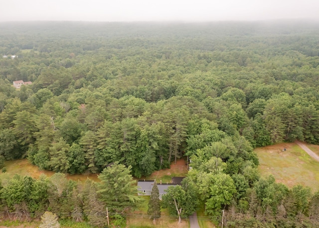 919 College St, Lewiston, ME 04240 - view from above of property featuring a heavily wooded area