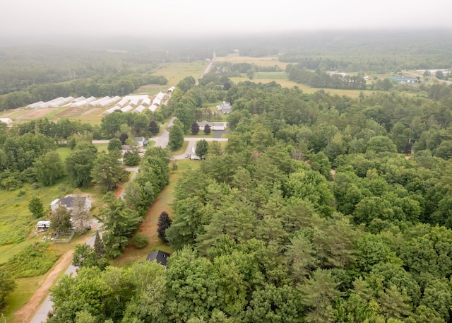919 College St, Lewiston, ME 04240 - aerial view of a forest