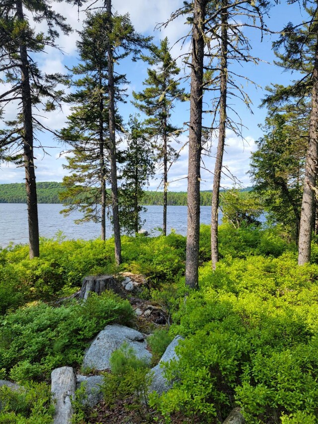 LOT2 Horseshoe Lk Unit T35, Md, ME 04622