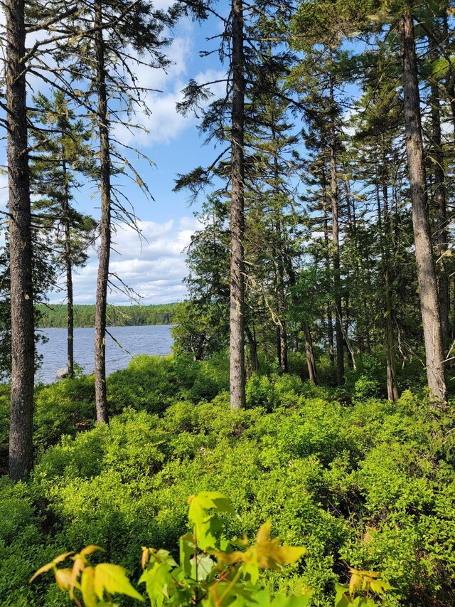 LOT2 Horseshoe Lk Unit T35, Md, ME 04622
