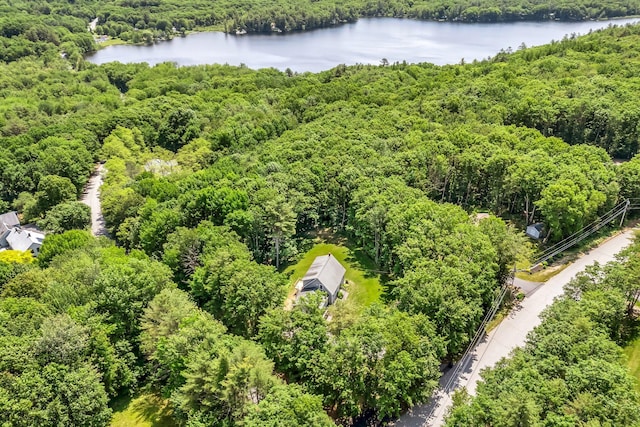 31 Pond Ridge Dr, Lewiston, ME 04240 - bird's eye view of a heavily wooded area and a nearby body of water