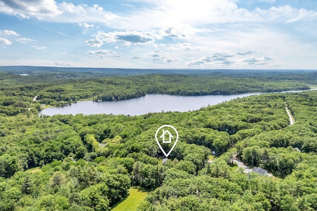 31 Pond Ridge Dr, Lewiston, ME 04240 - aerial view of a forest and a large body of water