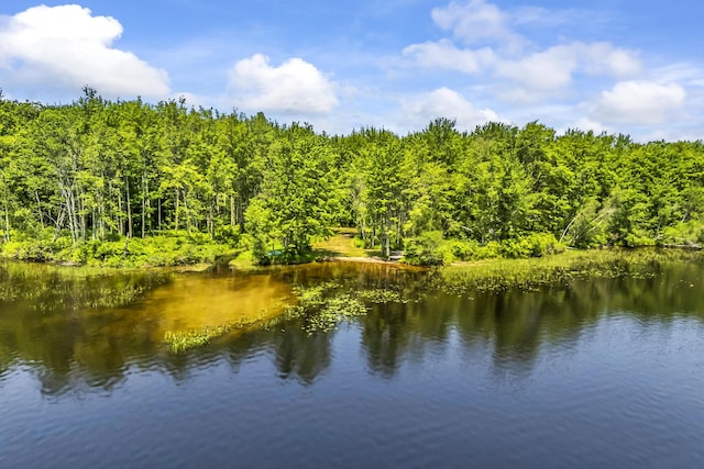 31 Pond Ridge Dr, Lewiston, ME 04240 - water view with a heavily wooded area