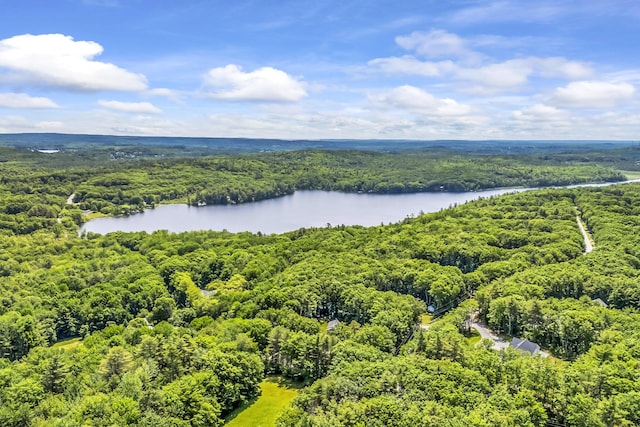 31 Pond Ridge Dr, Lewiston, ME 04240 - bird's eye view of a nearby body of water