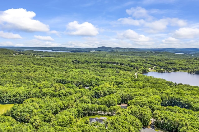 31 Pond Ridge Dr, Lewiston, ME 04240 - bird's eye view of a forest and a nearby body of water