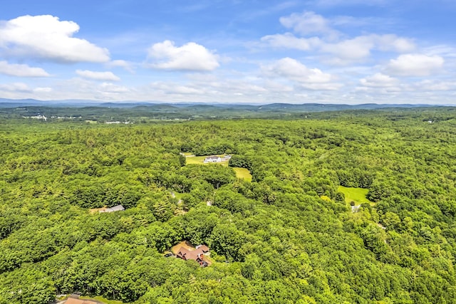 31 Pond Ridge Dr, Lewiston, ME 04240 - drone / aerial view of a forest