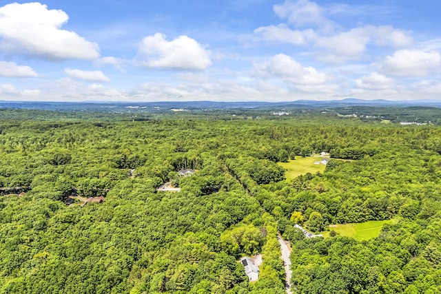 31 Pond Ridge Dr, Lewiston, ME 04240 - drone / aerial view of a forest