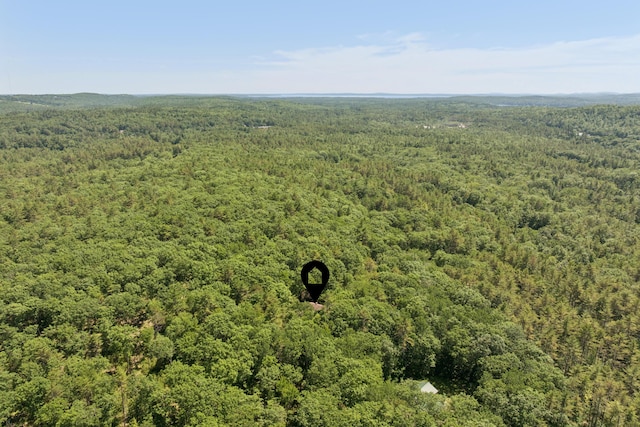 86 Cooks Mill Rd, Naples, ME 04055 - photo 58