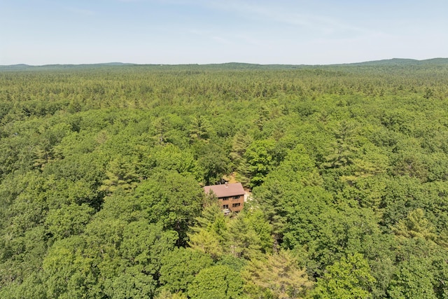 86 Cooks Mill Rd, Naples, ME 04055 - photo 54