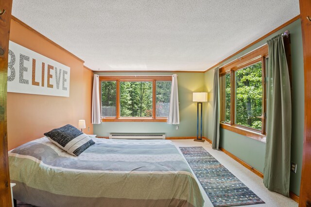 86 Cooks Mill Rd, Naples, ME 04055 - photo 24