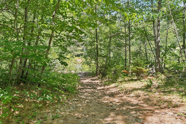 86 Cooks Mill Rd, Naples, ME 04055 - photo 50