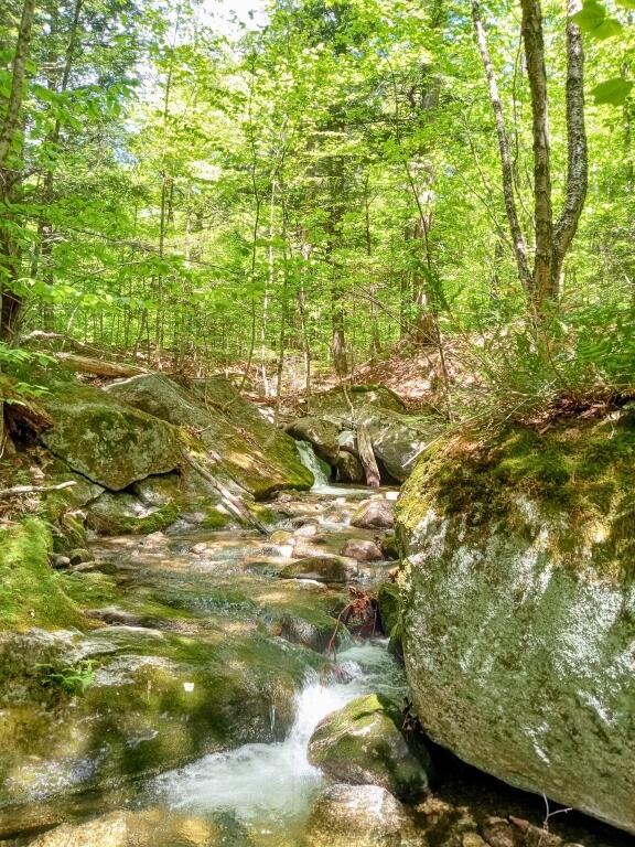 2401 Long Falls Dam Rd, Highland Plt, ME 04961