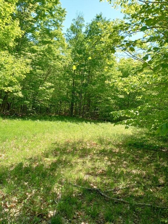 2401 Long Falls Dam Rd, Highland Plt, ME 04961