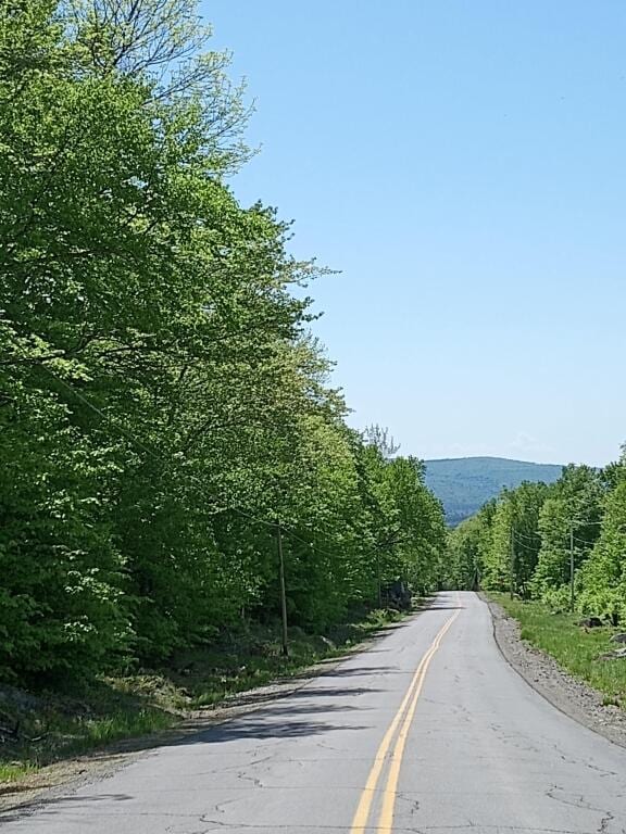 2401 Long Falls Dam Rd, Highland Plt, ME 04961