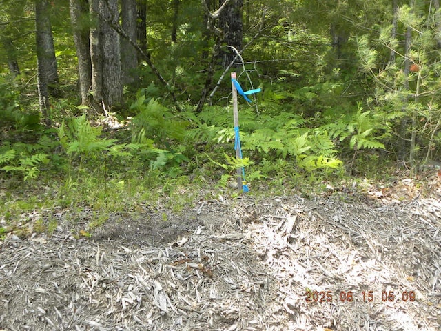 00 Bridge St, Newfield, ME 04056