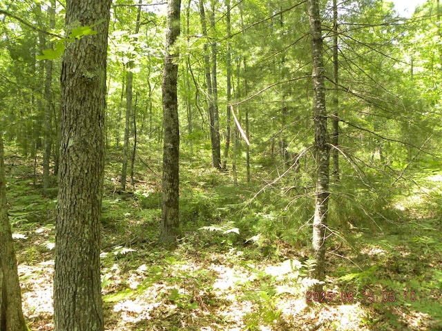 00 Bridge St, Newfield, ME 04056
