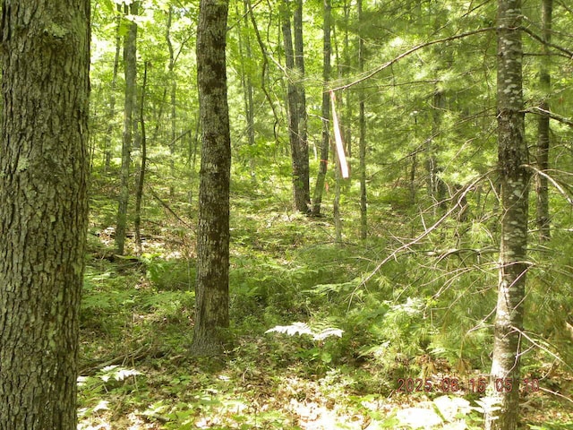 00 Bridge St, Newfield, ME 04056