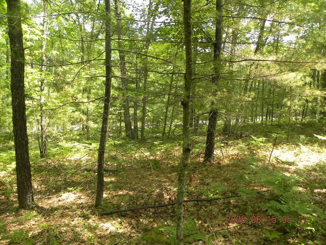 00 Bridge St, Newfield, ME 04056