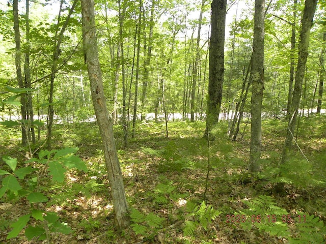 00 Bridge St, Newfield, ME 04056