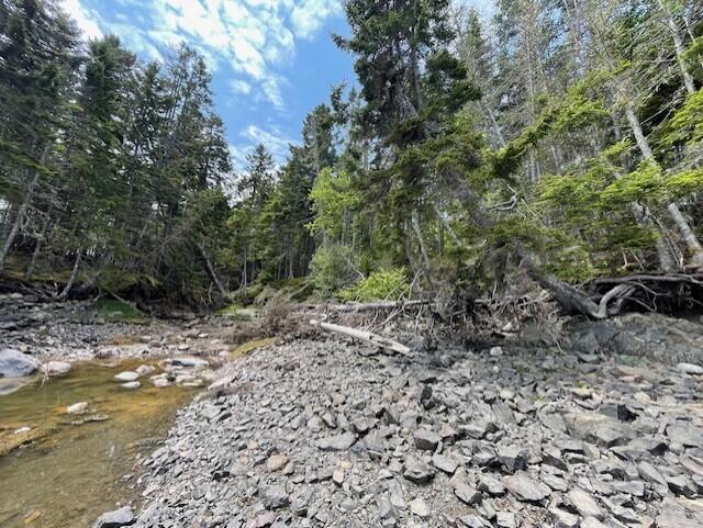 LOT139 Duck Cove Rd, Roque Bluffs, ME 04654 - photo 5