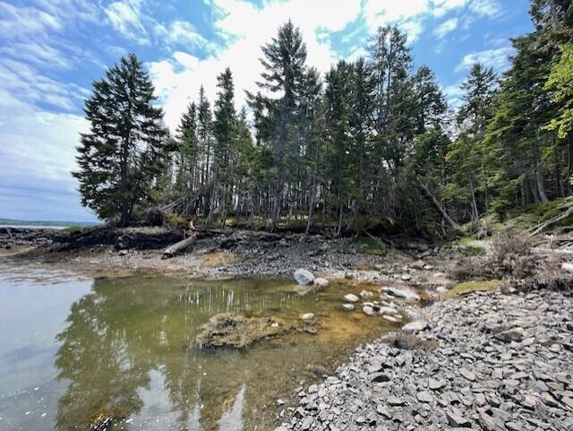 LOT139 Duck Cove Rd, Roque Bluffs, ME 04654 - photo 6