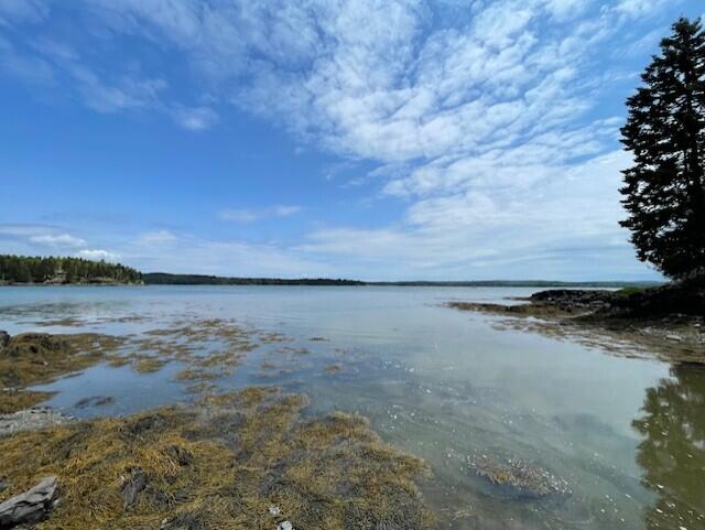 LOT139 Duck Cove Rd, Roque Bluffs, ME 04654 - photo 4