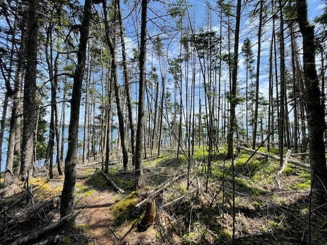 LOT139 Duck Cove Rd, Roque Bluffs, ME 04654 - photo 9